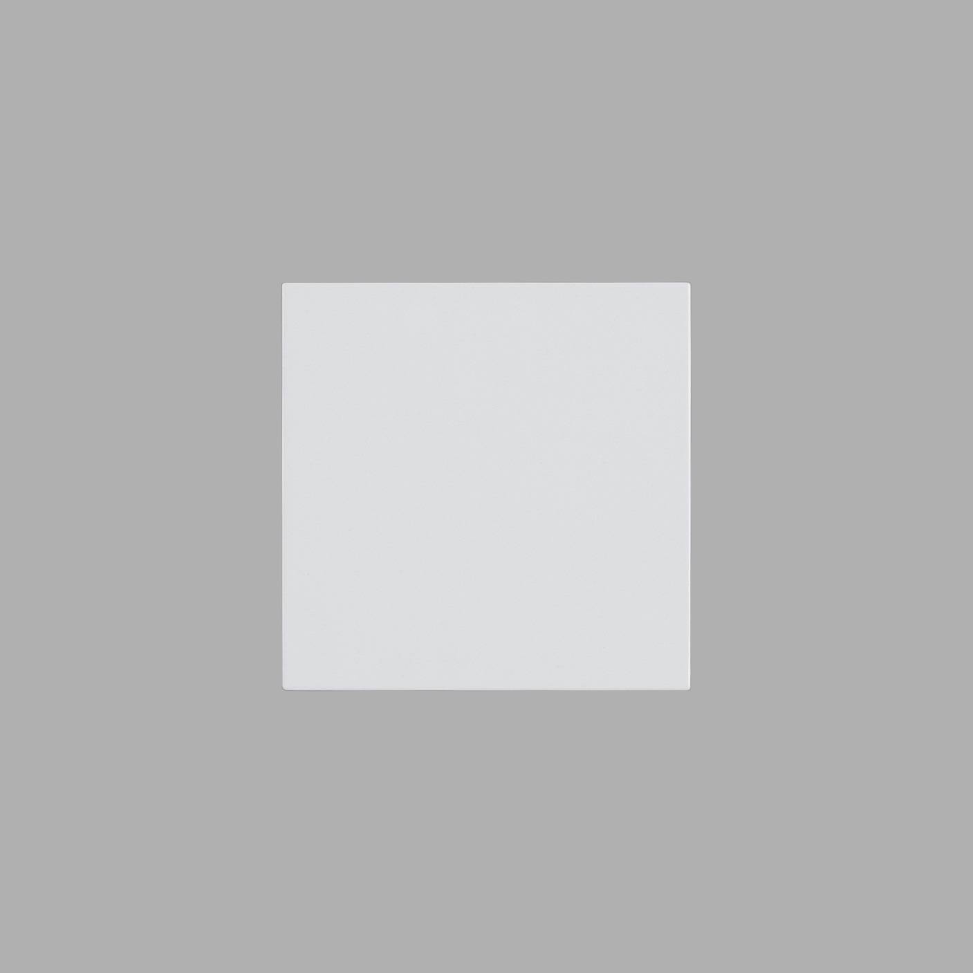 BLANK MODULE / 45 MM