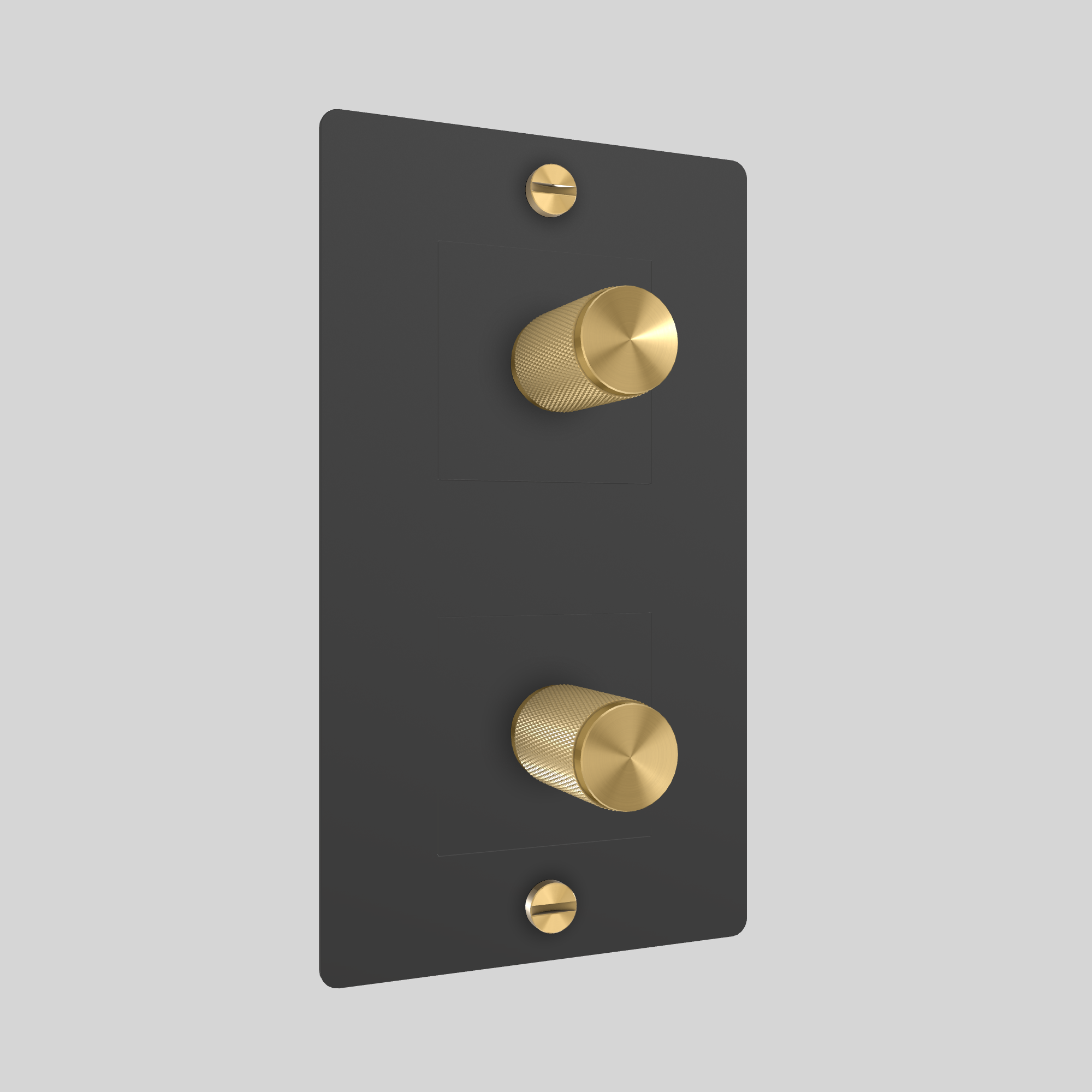 2G DIMMER / VERTICAL / 250W / WITHOUT LOGO / BLACK / BRASS
